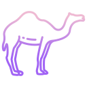 external camel-desert-icongeek26-outline-gradient-icongeek26 icon