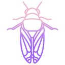 external cicada-bugs-and-insects-icongeek26-outline-gradient-icongeek26 icon