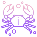 external crab-sea-life-icongeek26-outline-gradient-icongeek26 icon