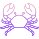 external crab-tropical-icongeek26-outline-gradient-icongeek26 icon
