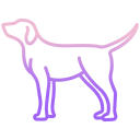 external dog-animal-body-icongeek26-outline-gradient-icongeek26 icon