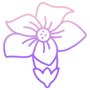 external flower-flower-icongeek26-outline-gradient-icongeek26 icon