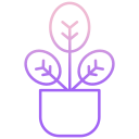 external plant-indoor-plants-icongeek26-outline-gradient-icongeek26-1 icon