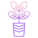 external plant-indoor-plants-icongeek26-outline-gradient-icongeek26 icon