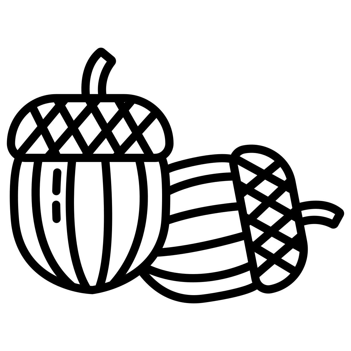 acorn icon