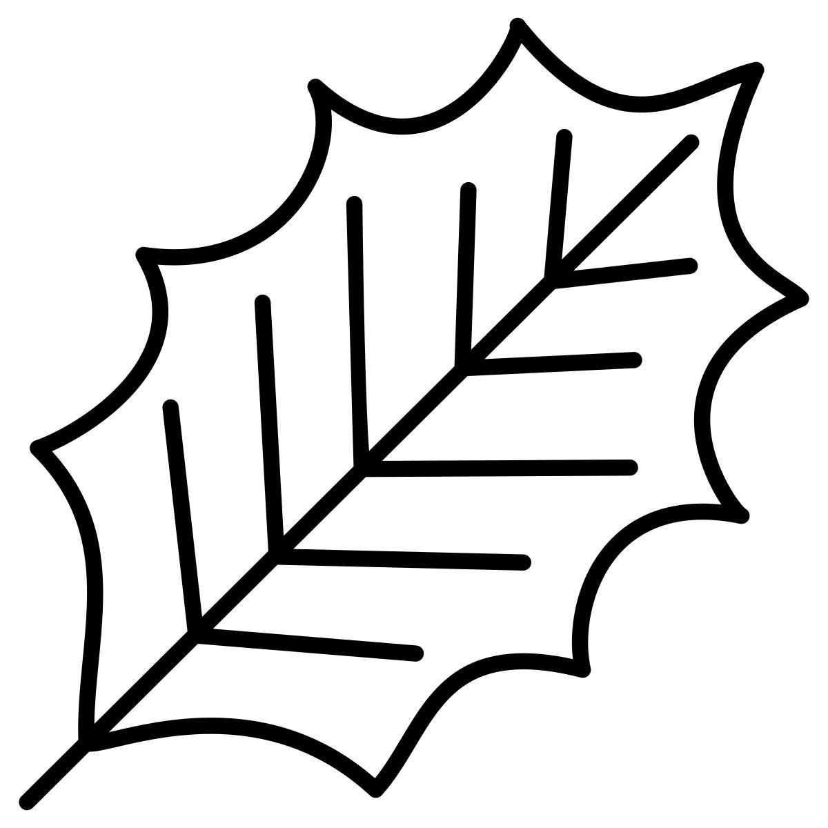 american holly leaf icon