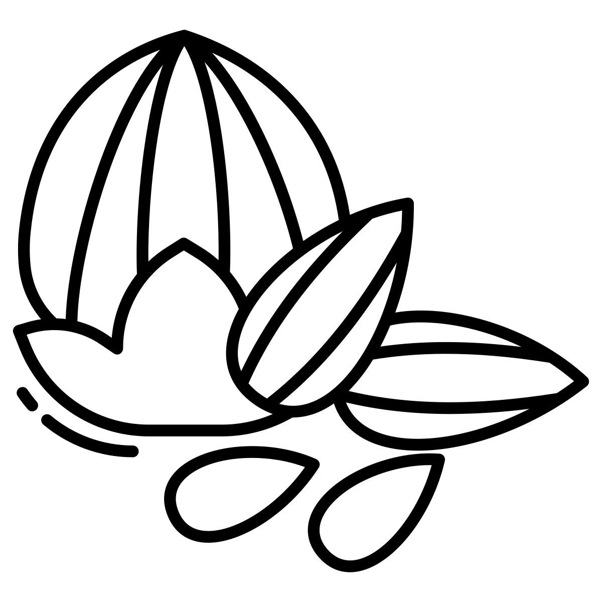 badam and walnut icon