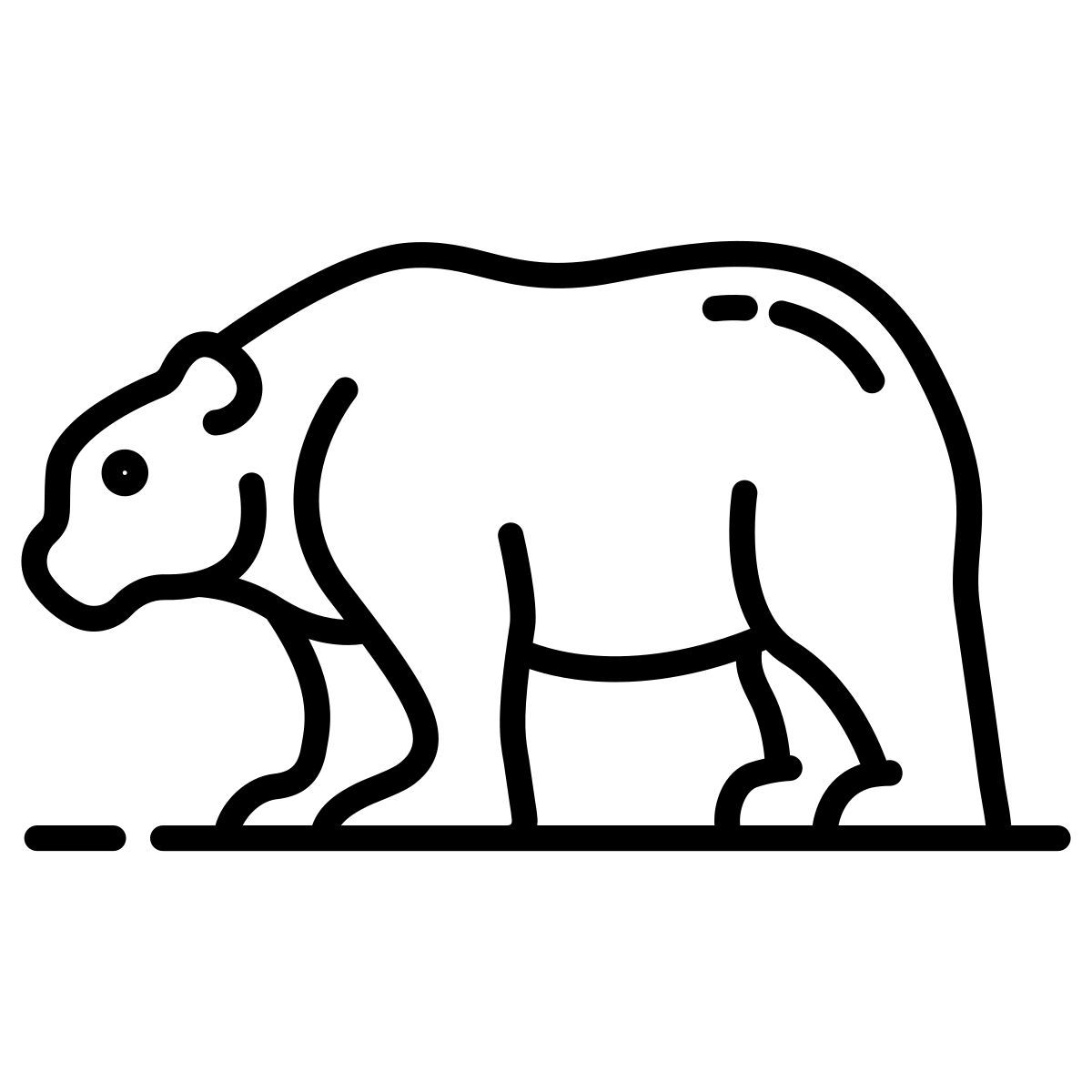 bear icon
