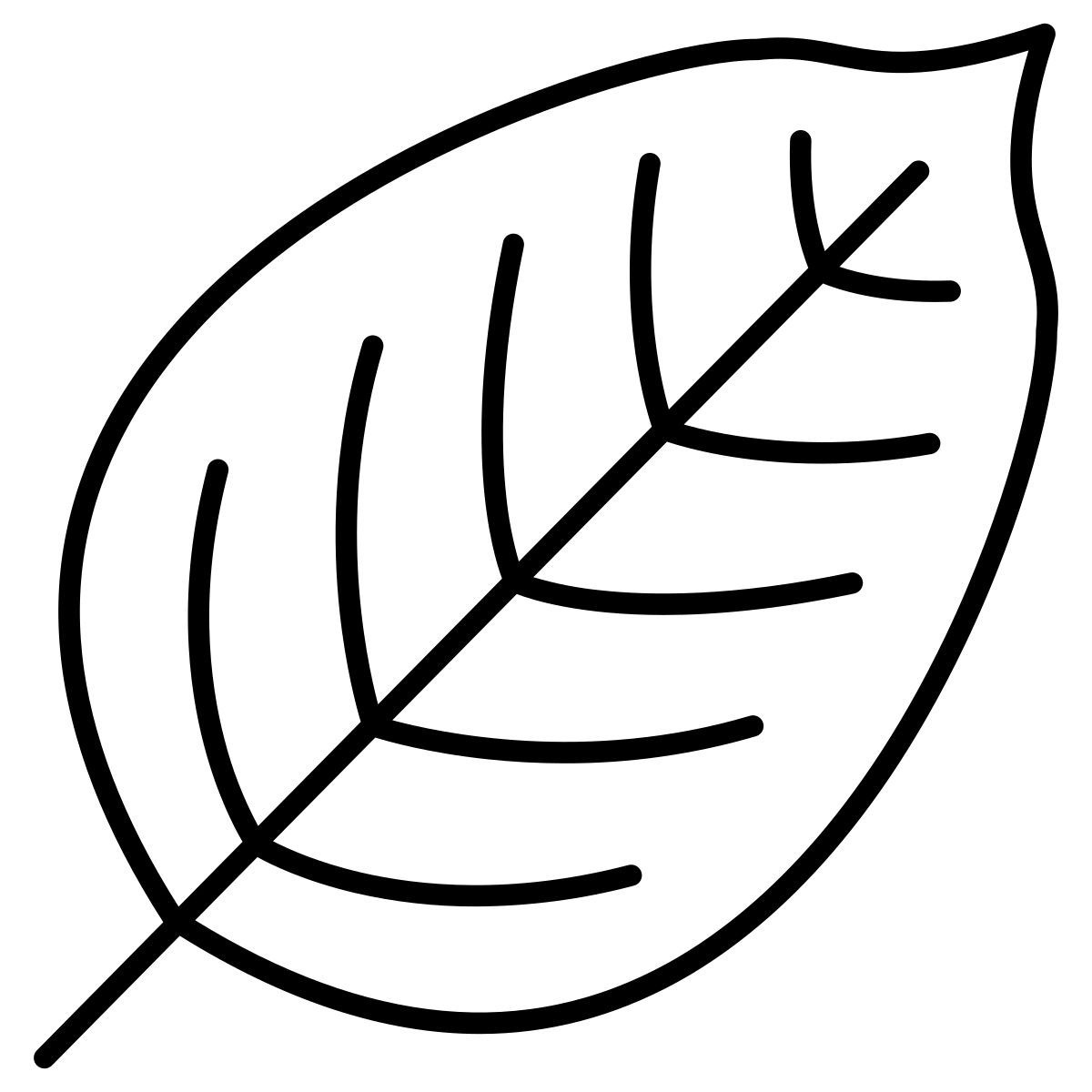 Folha de faia icon
