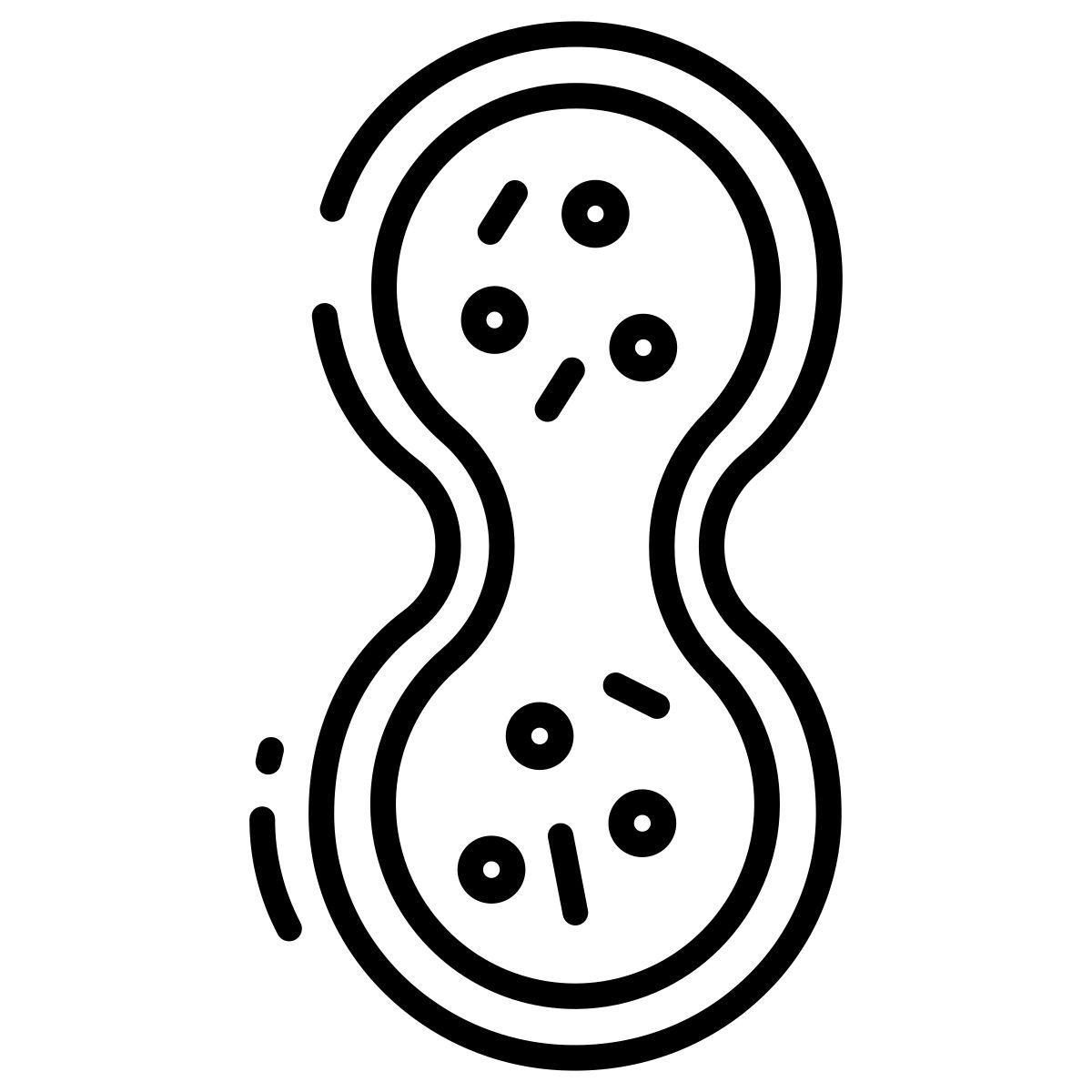 biology icon