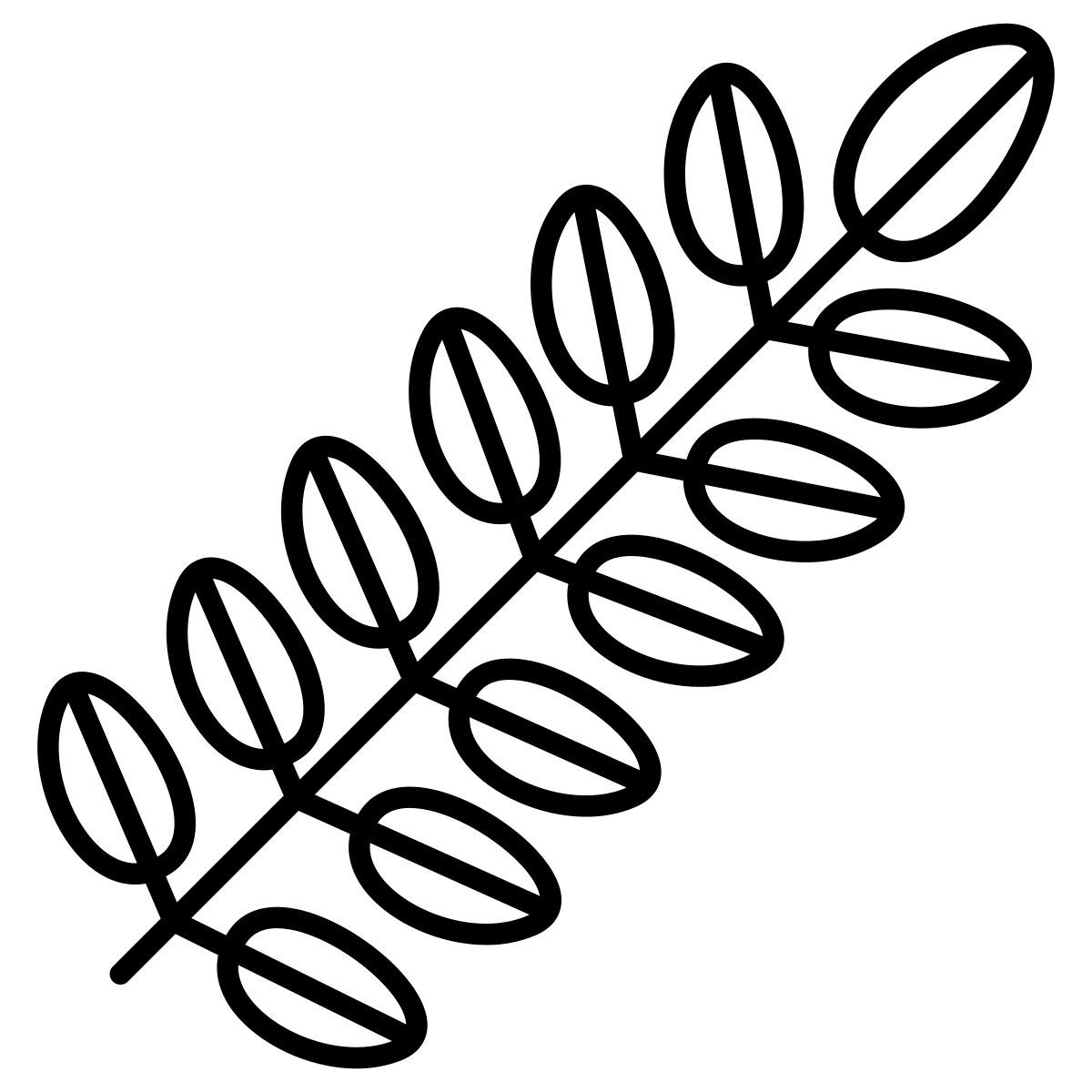 black locust leaf icon