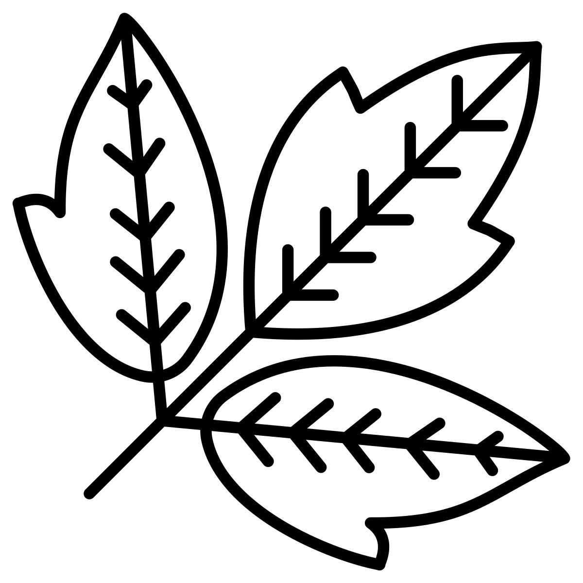 box elder leaf icon