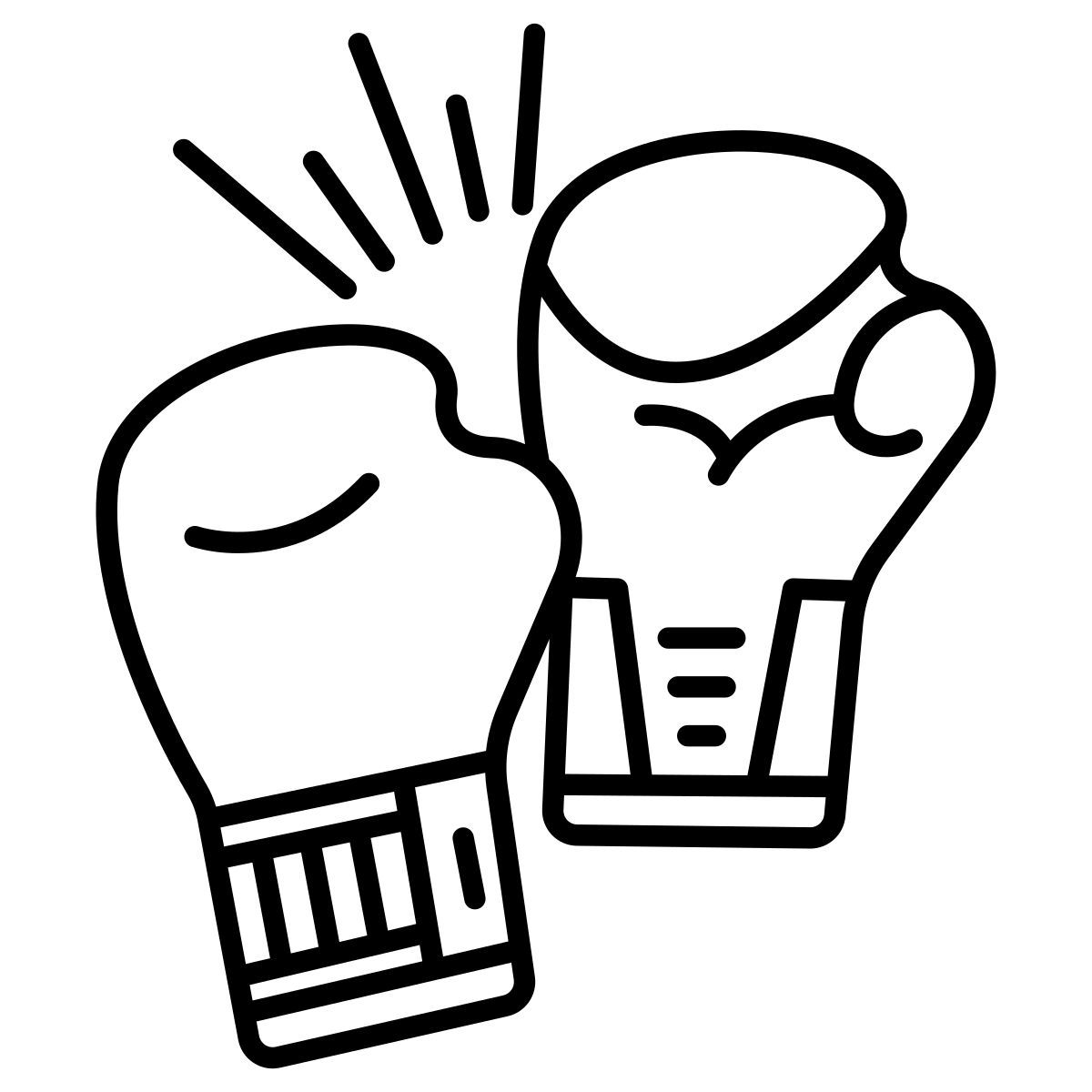 boxing icon