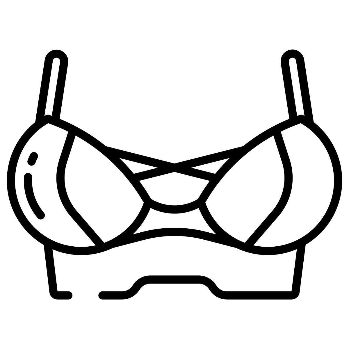 bra icon