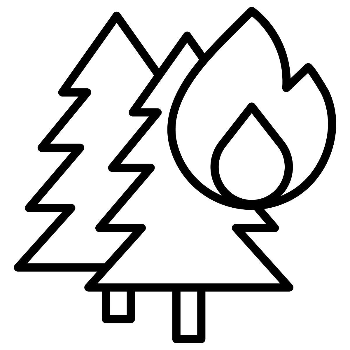 bush fire icon