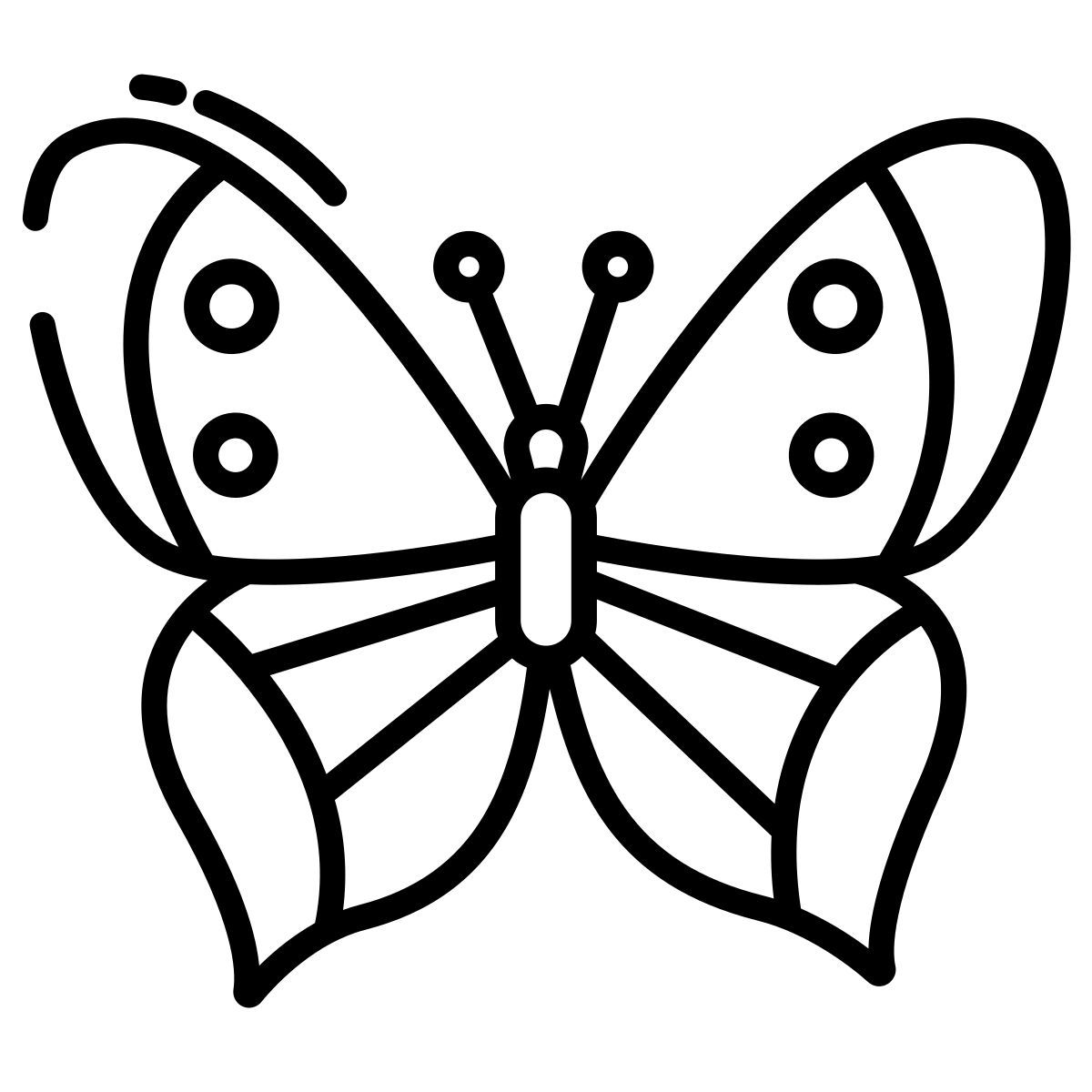 butterfly icon