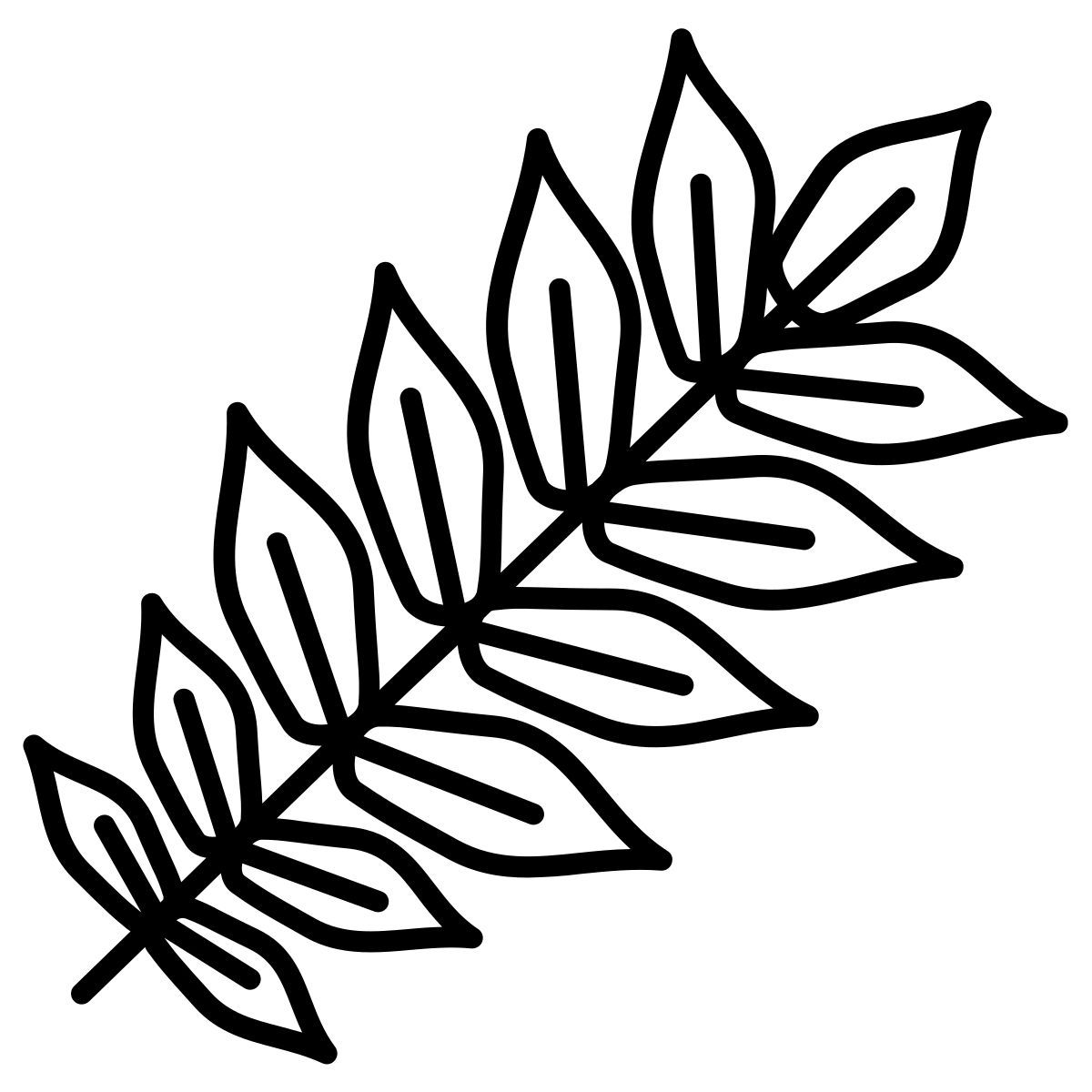 butternut leaf icon