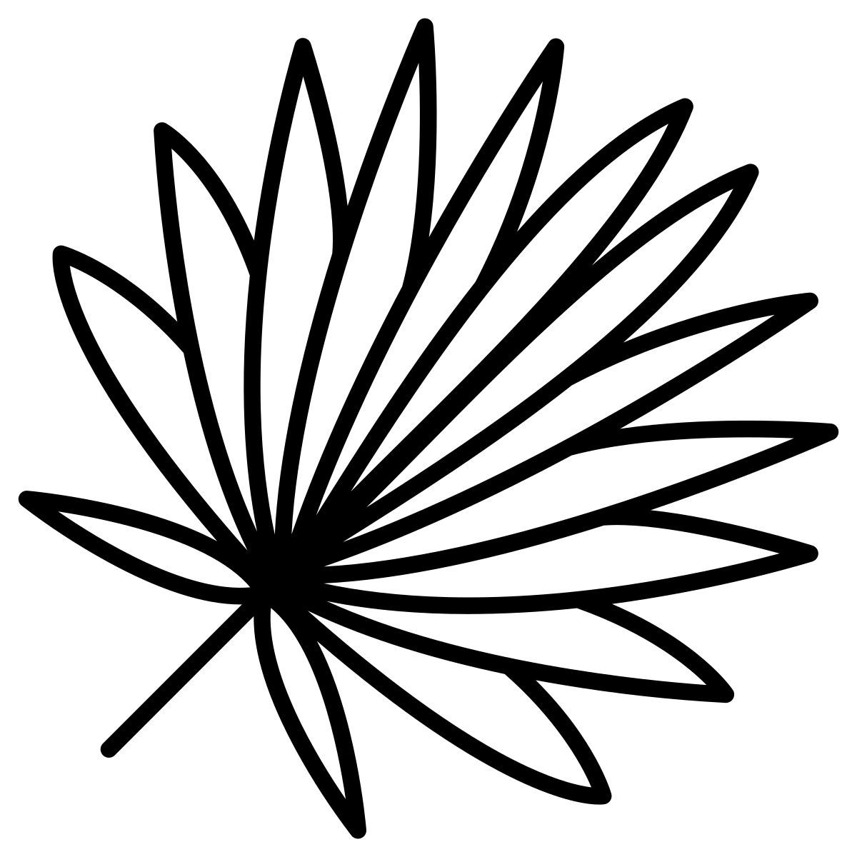 cabbage palmetto leaf icon