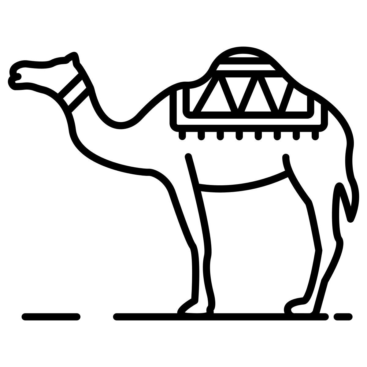 camel icon