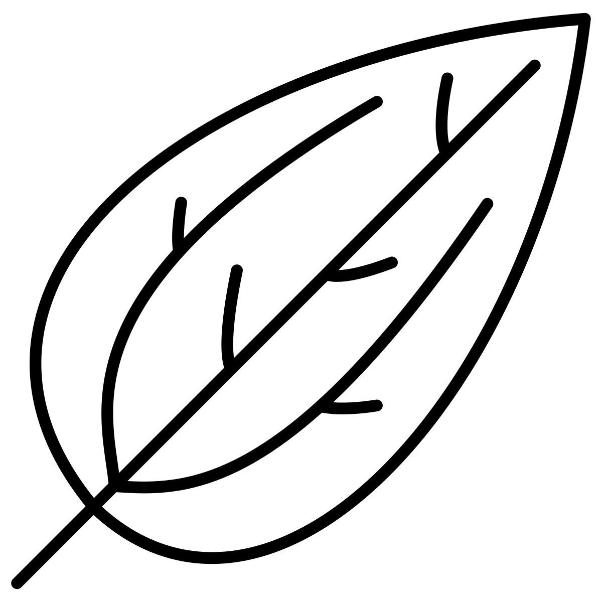 camphor leaf icon