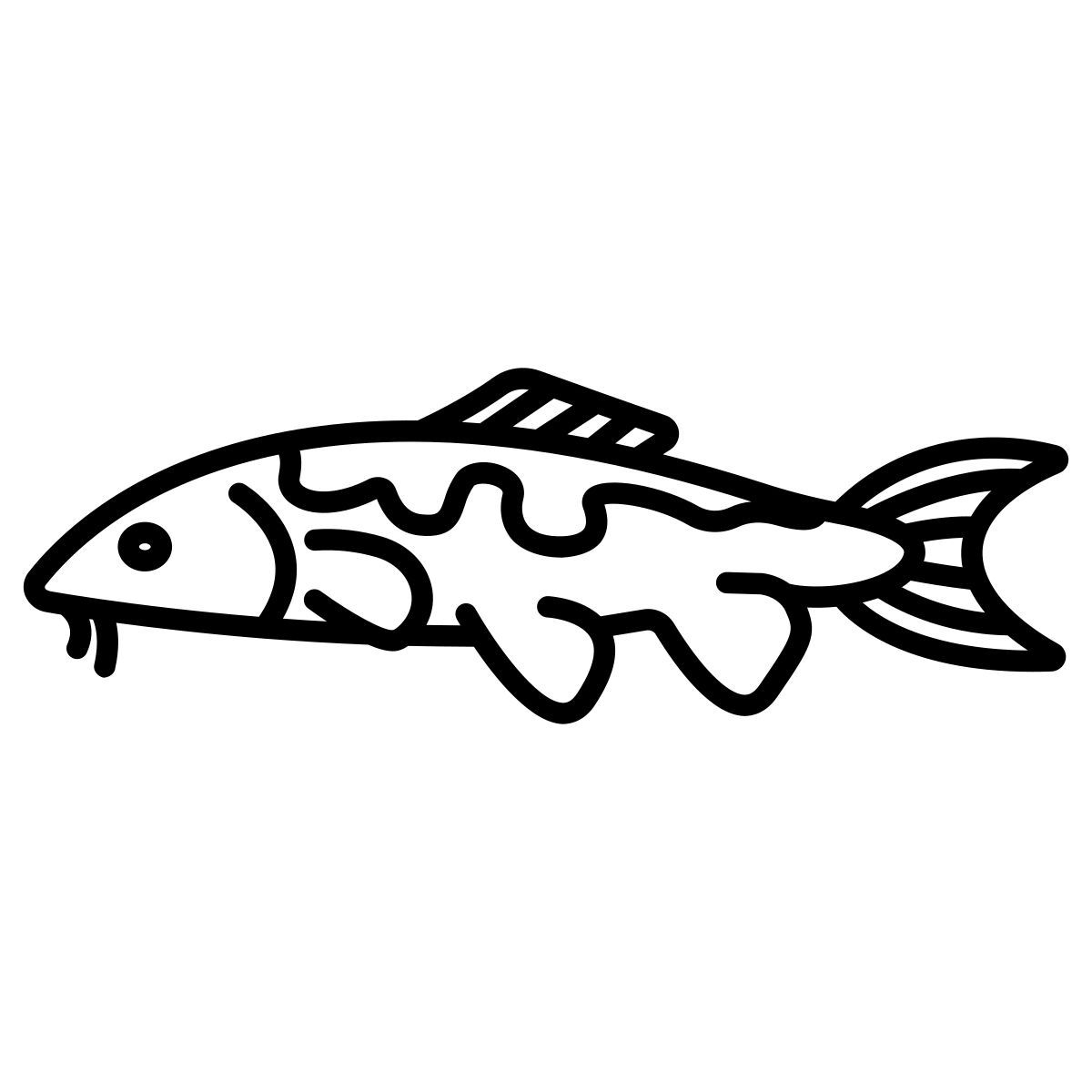 carpa koi icon