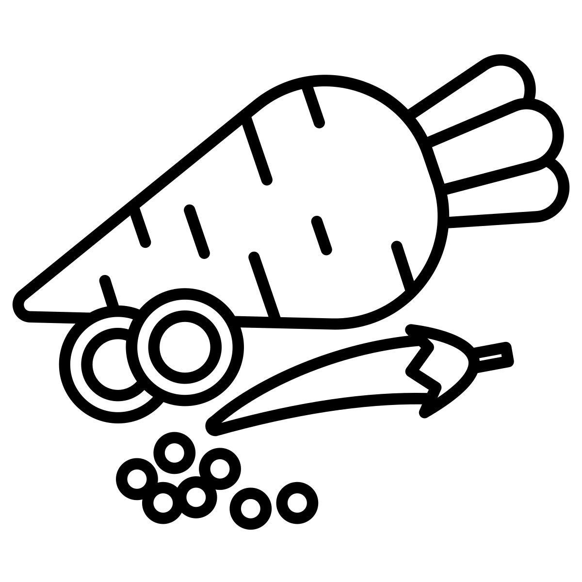 carrot icon