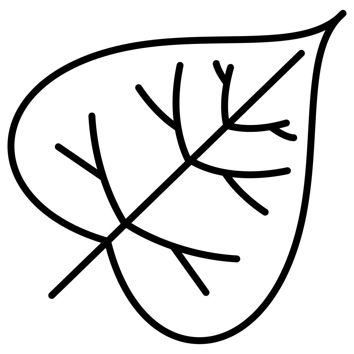 catalpa leaf icon