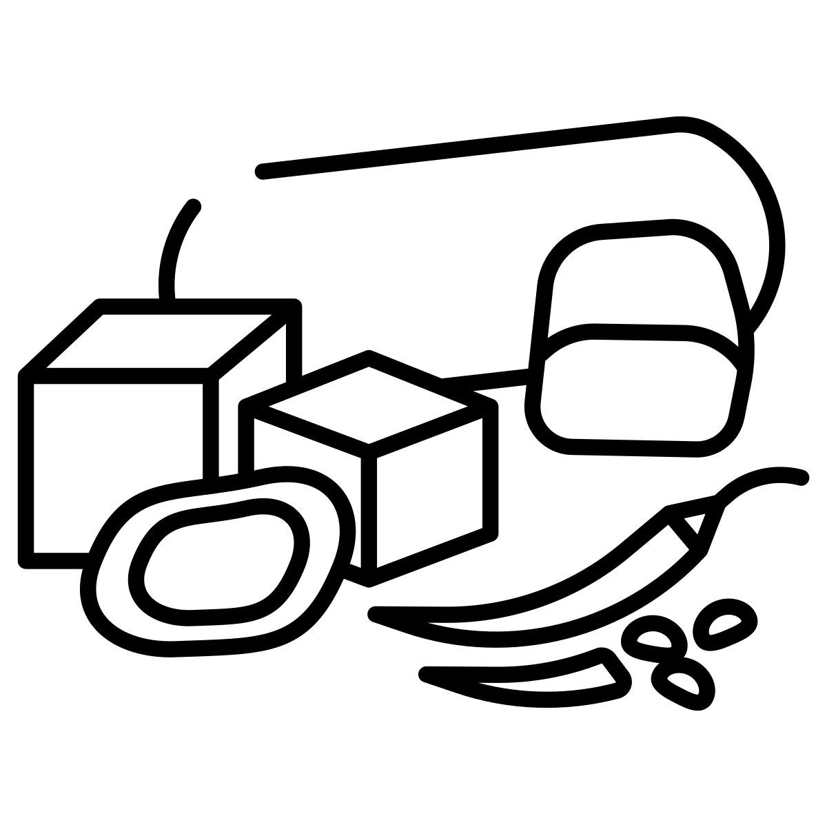 chilli icon