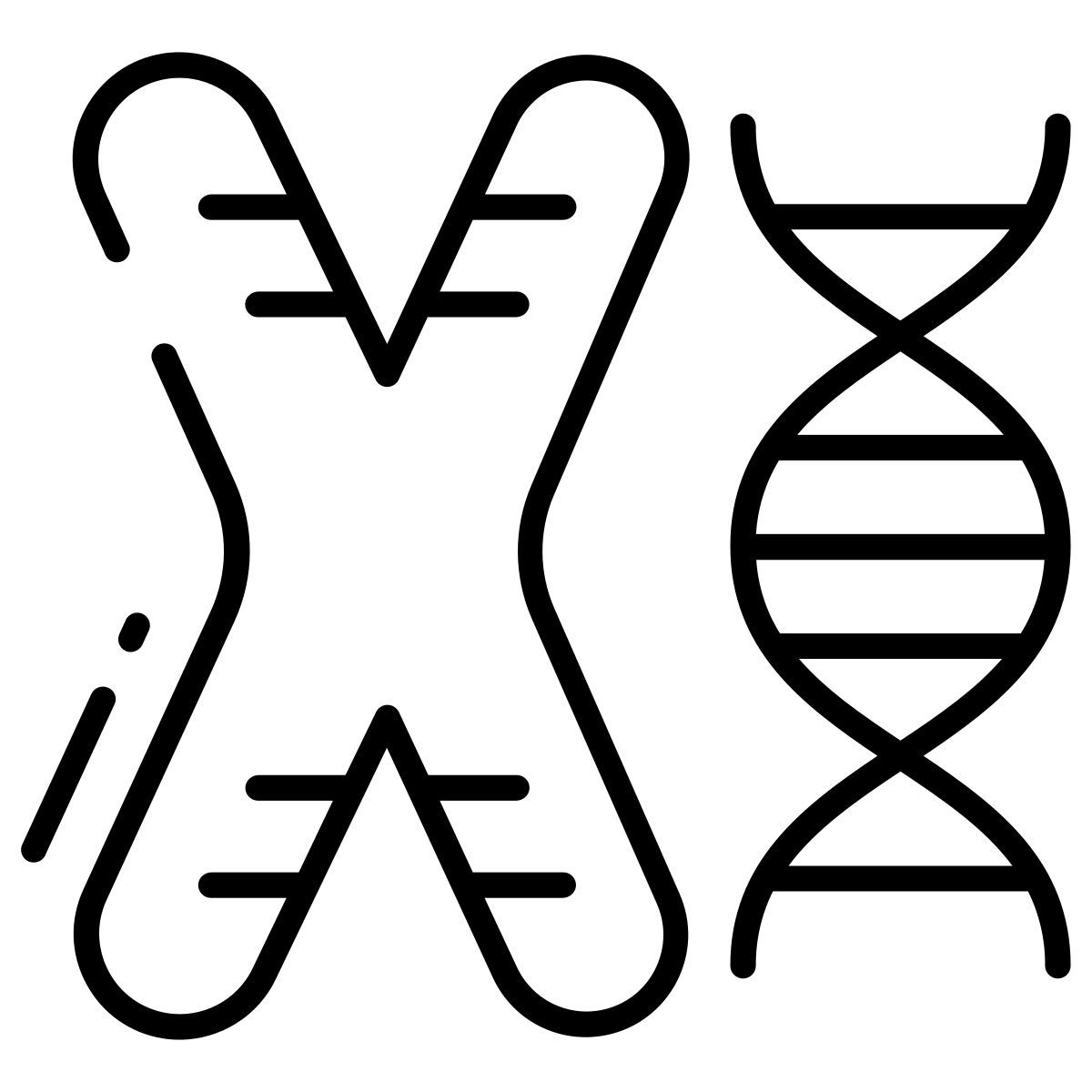 chromosome icon