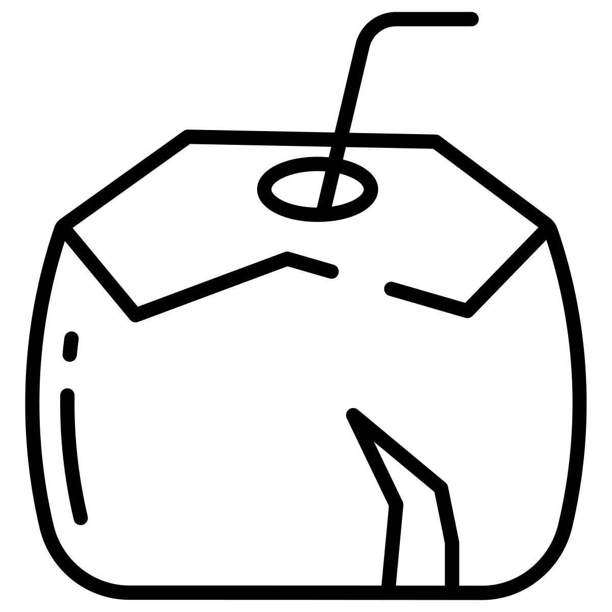 coconut icon