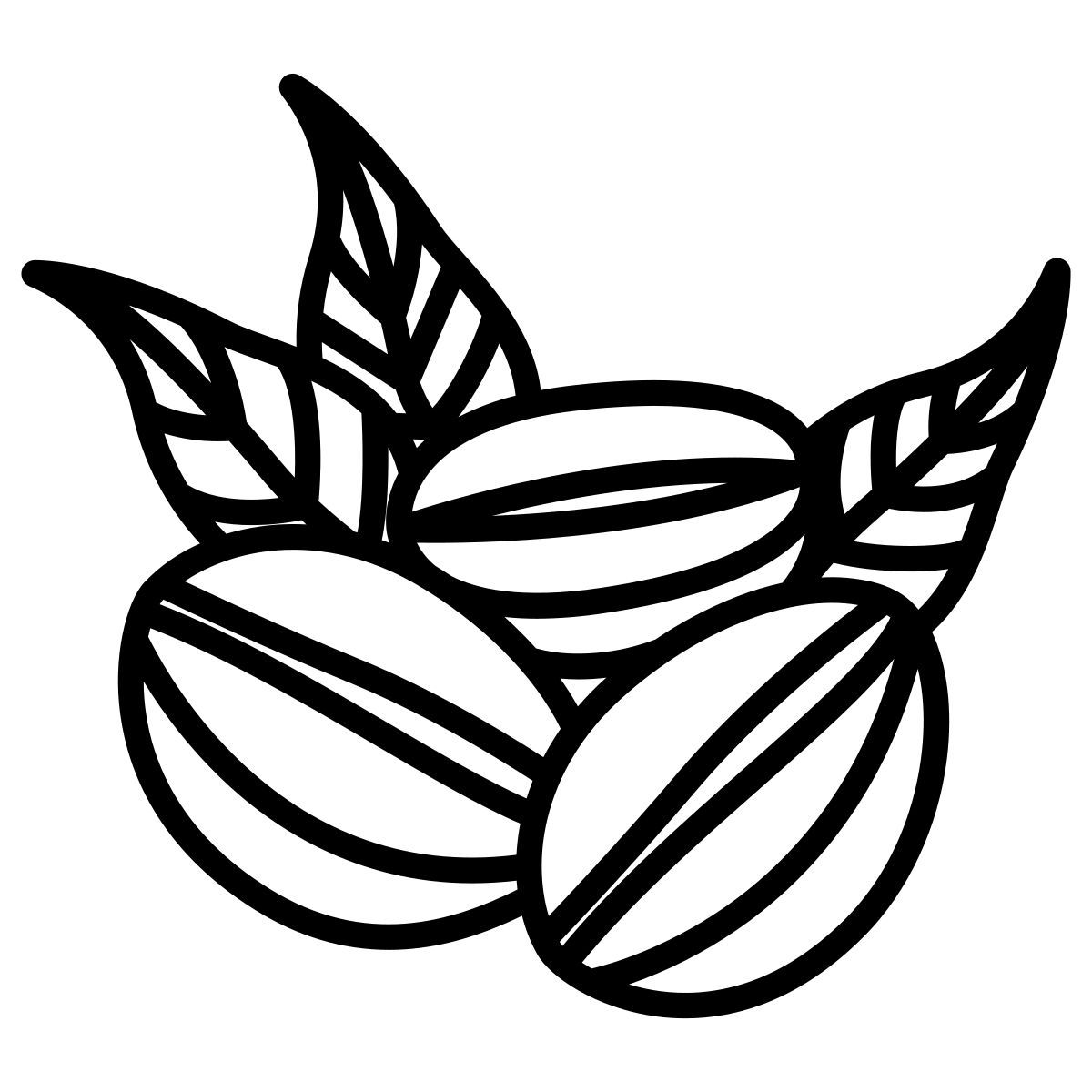 coffee beans icon