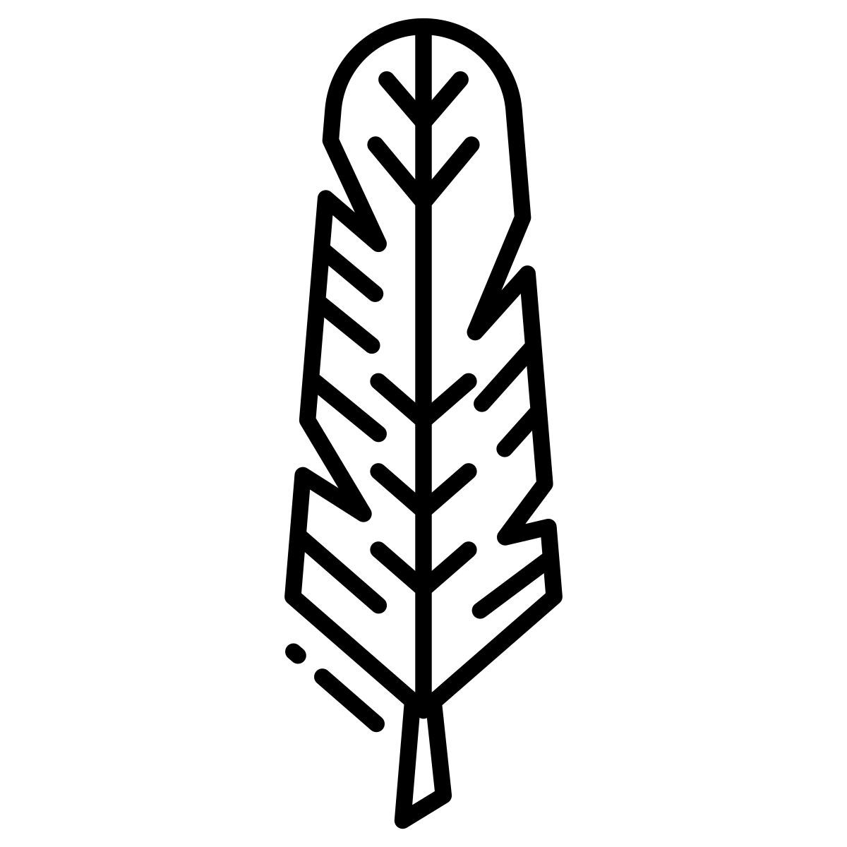 crow feather icon