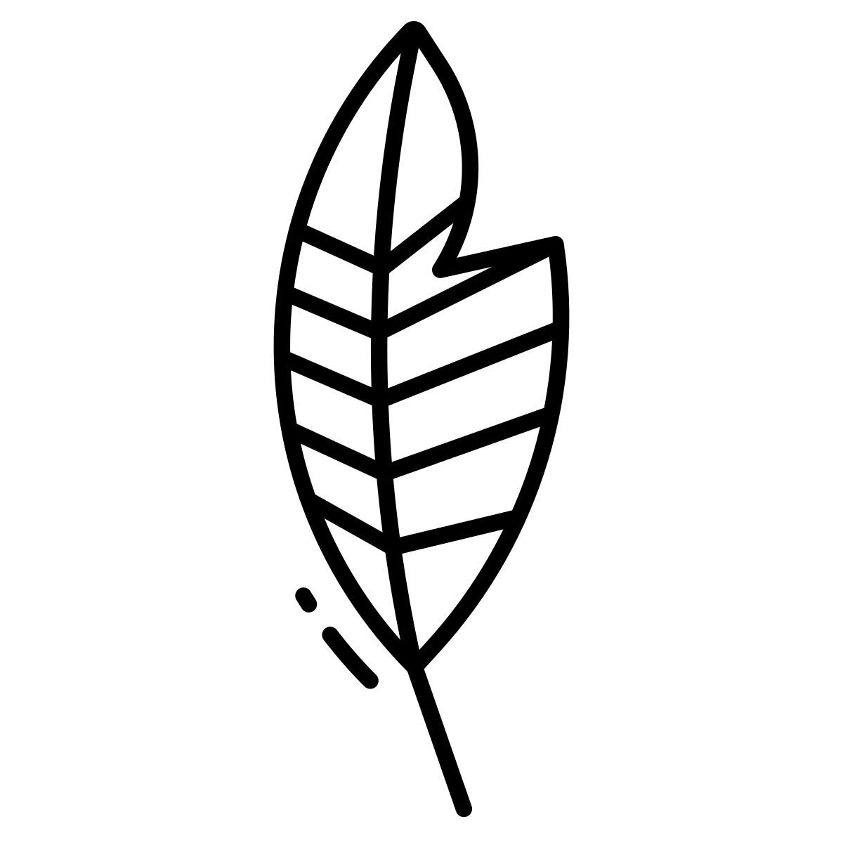 cuckoos feather icon