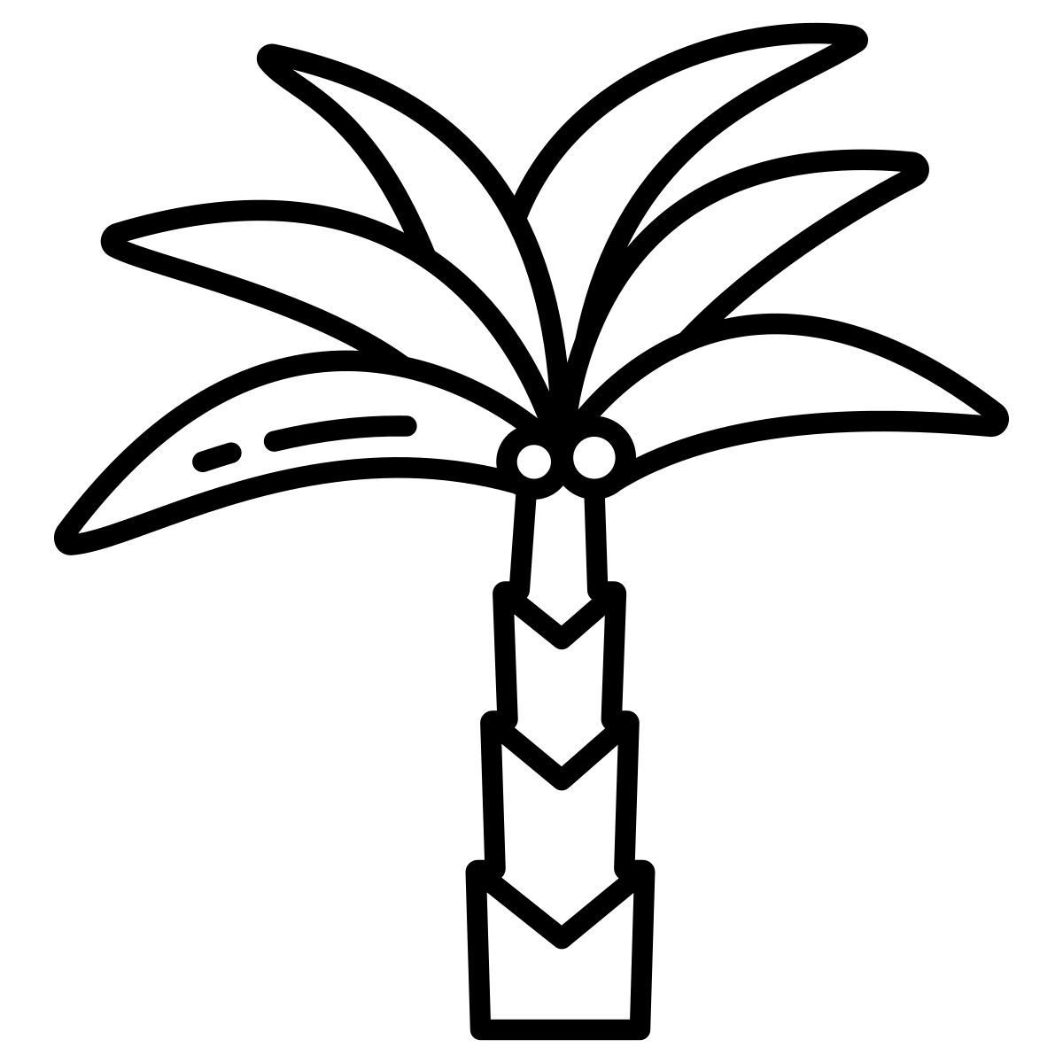date palm icon