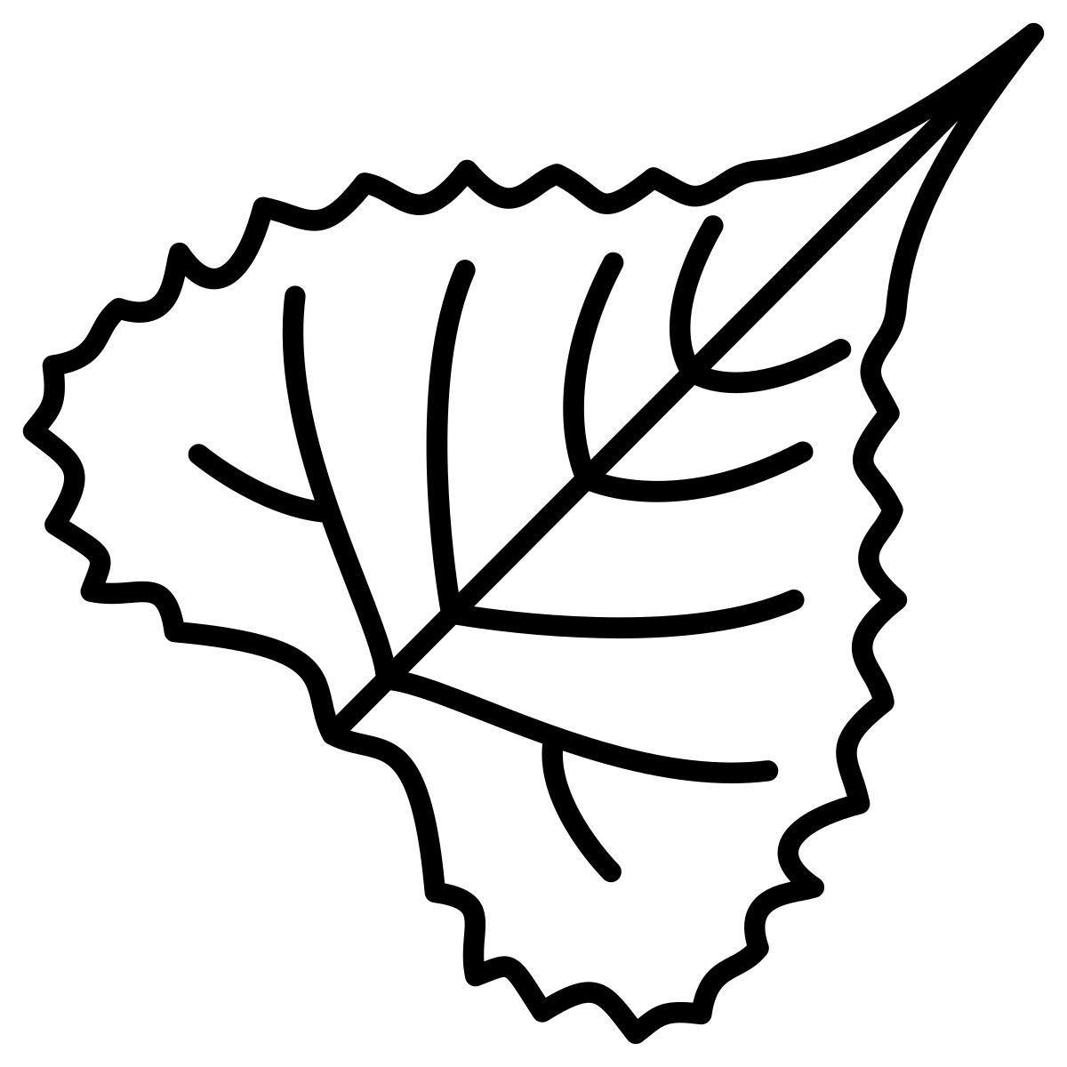 eastern cottonwood leaf icon