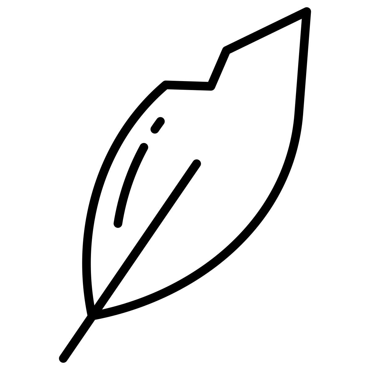 feather icon