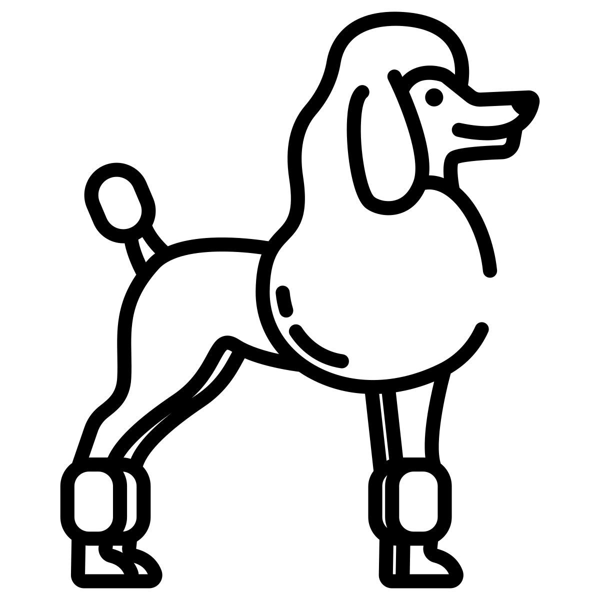 französischer pudel icon