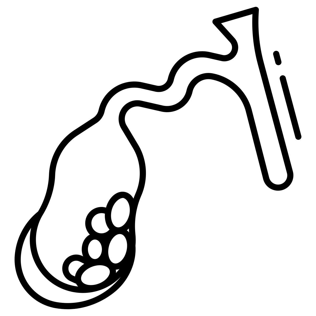 gallbladder disease icon