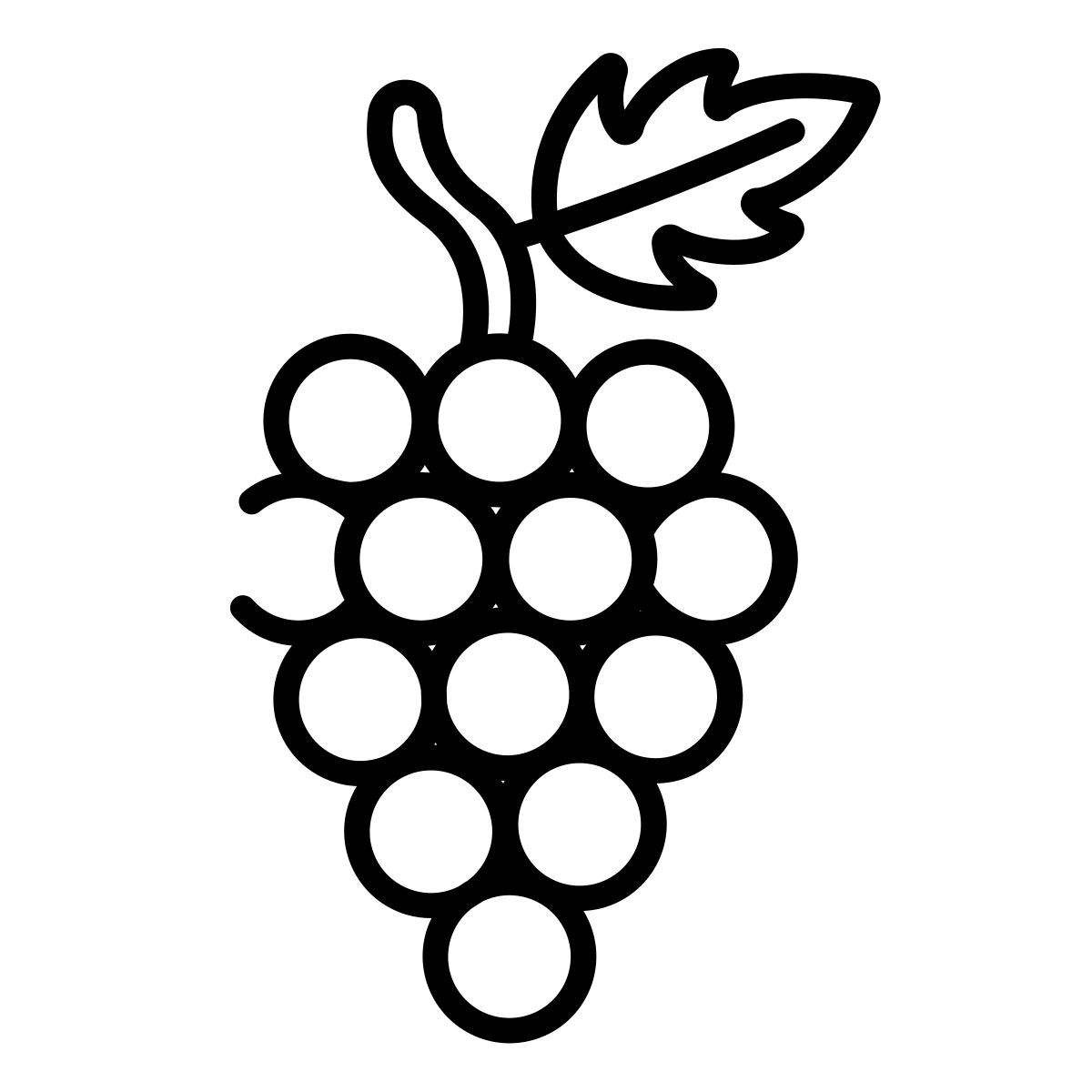 grapes icon