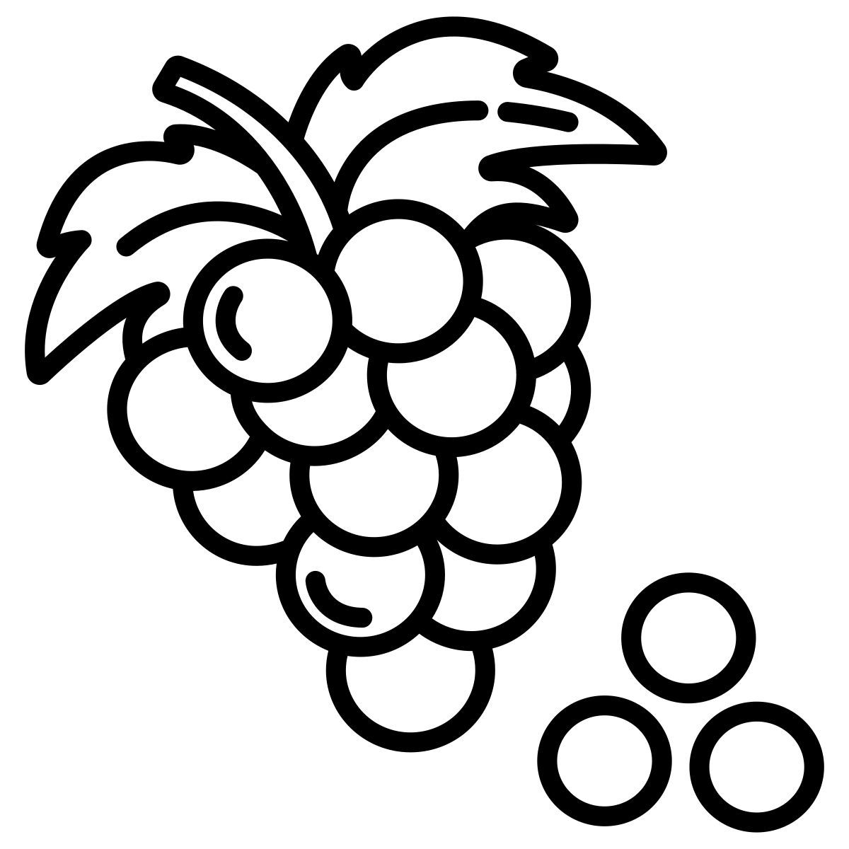 grapes icon