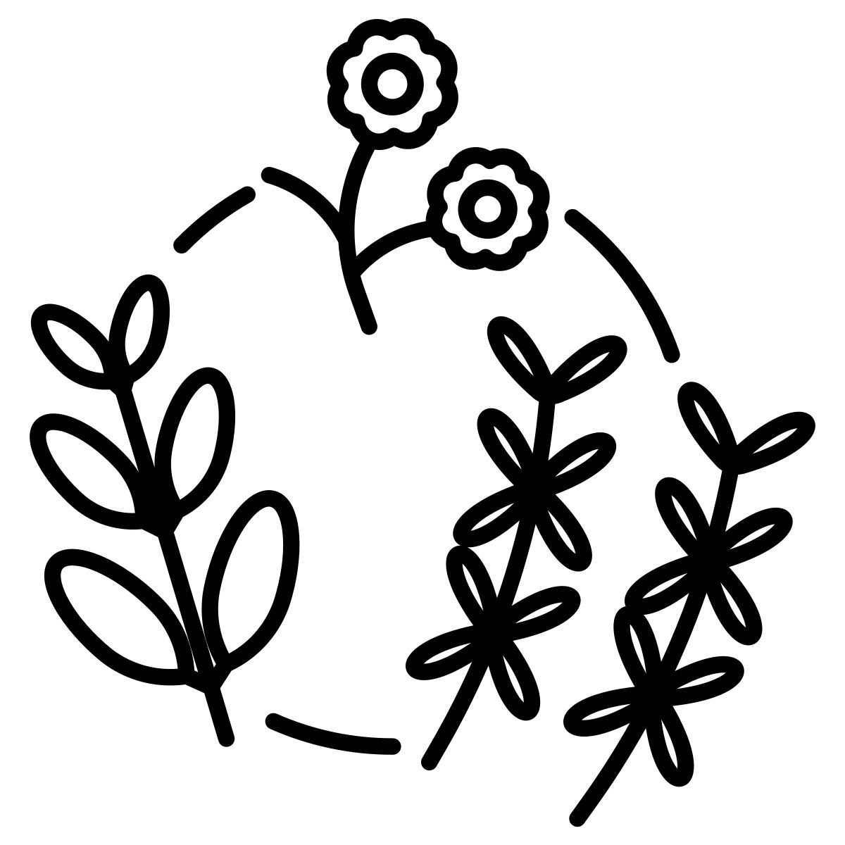 Herbs icon