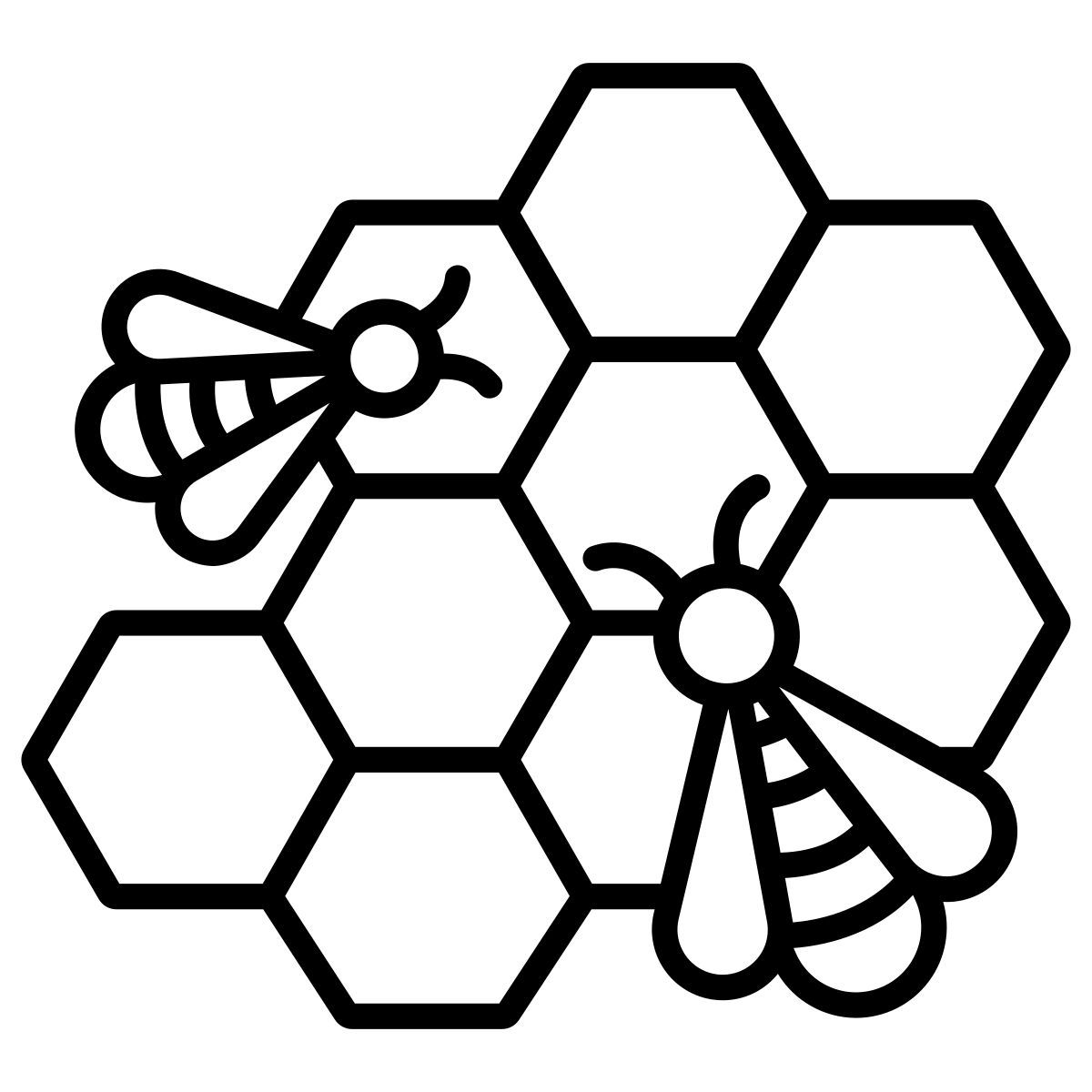 honey bee icon