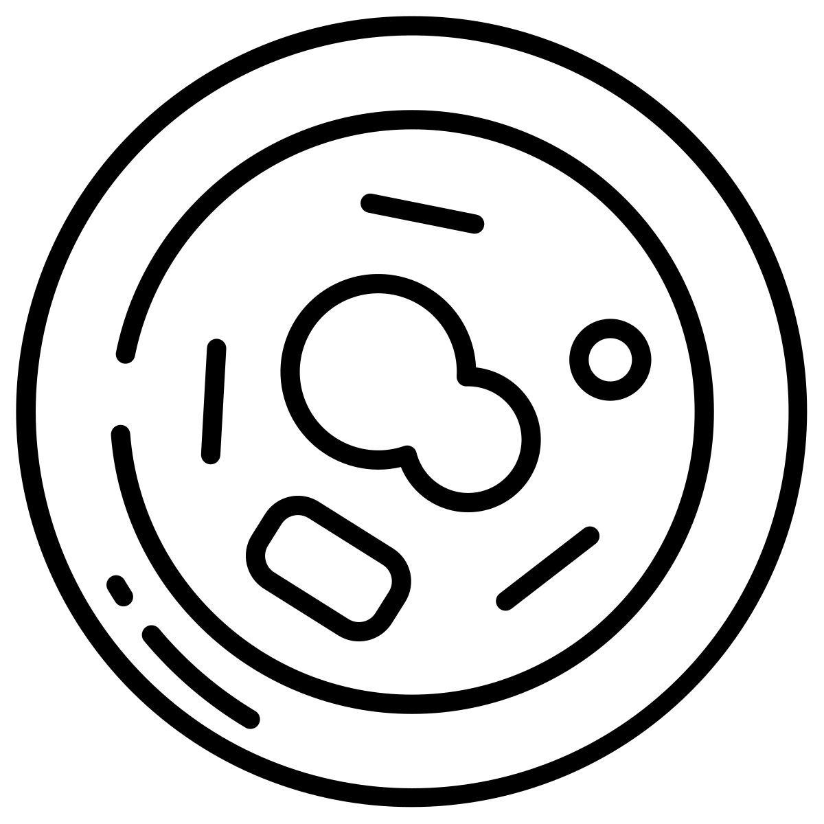 human body anatomy icon