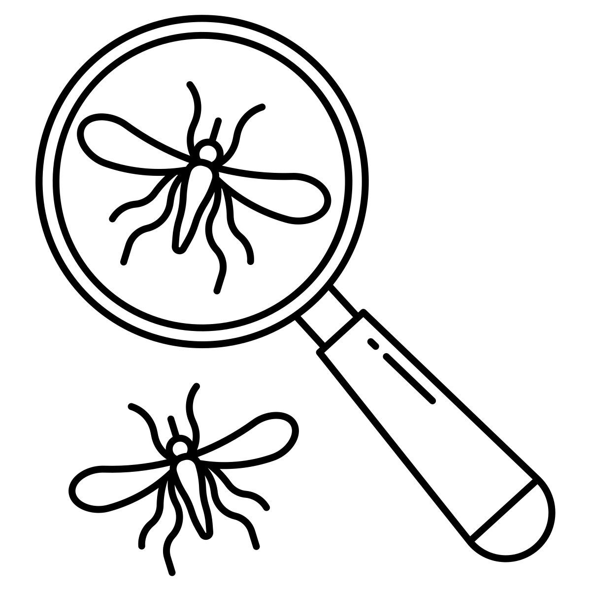 insect finder icon