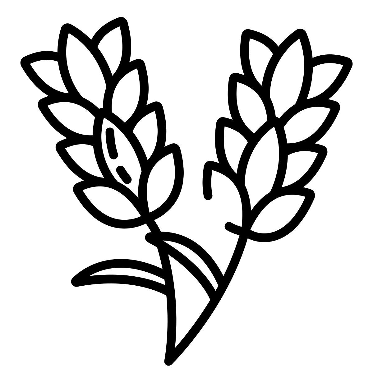 lavanda icon