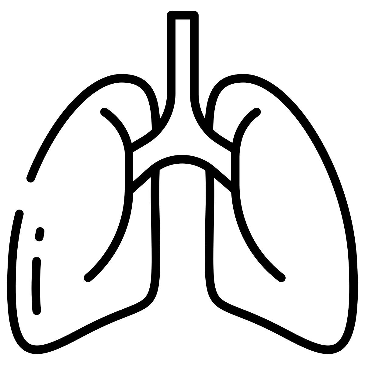 lungs icon
