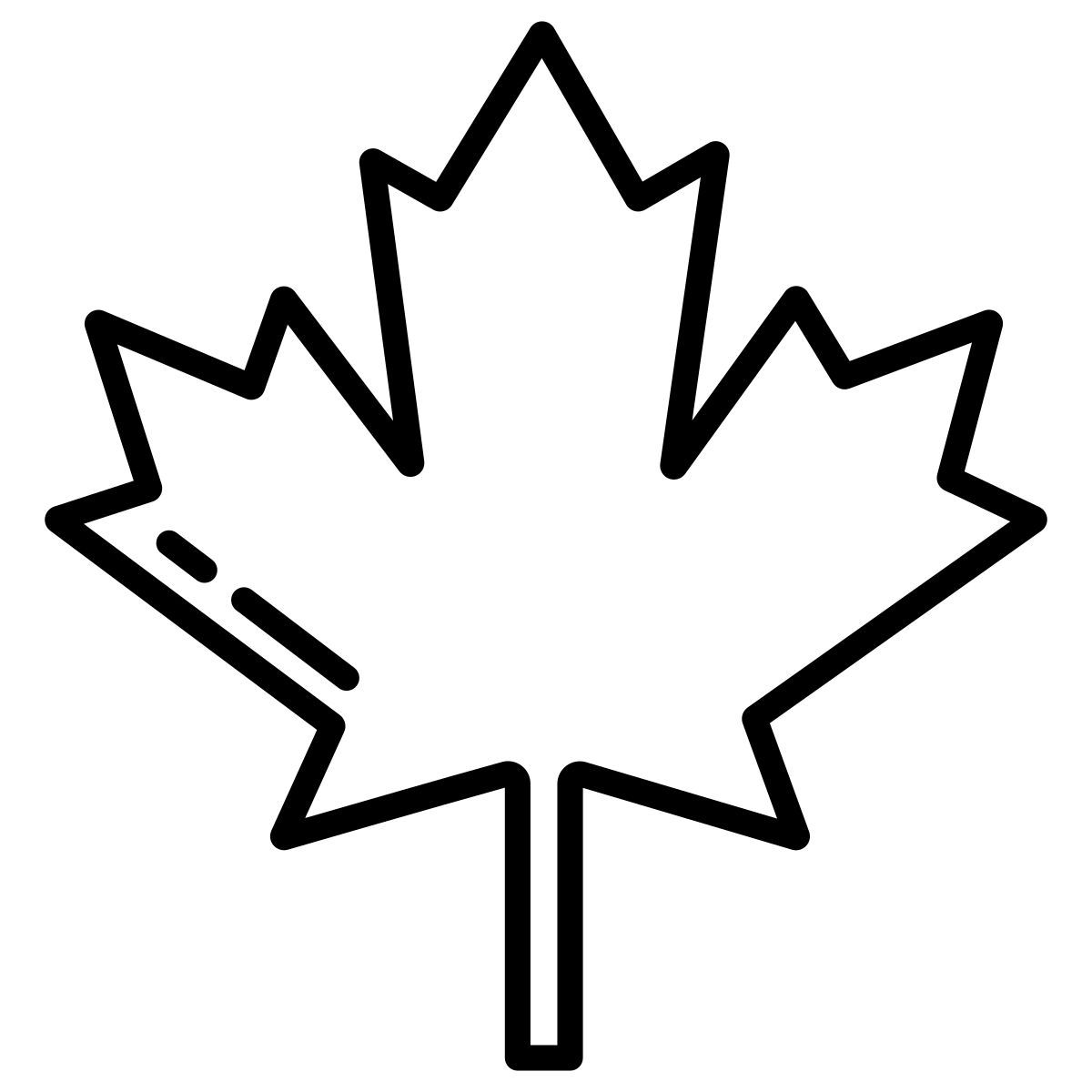 maple leaves icon