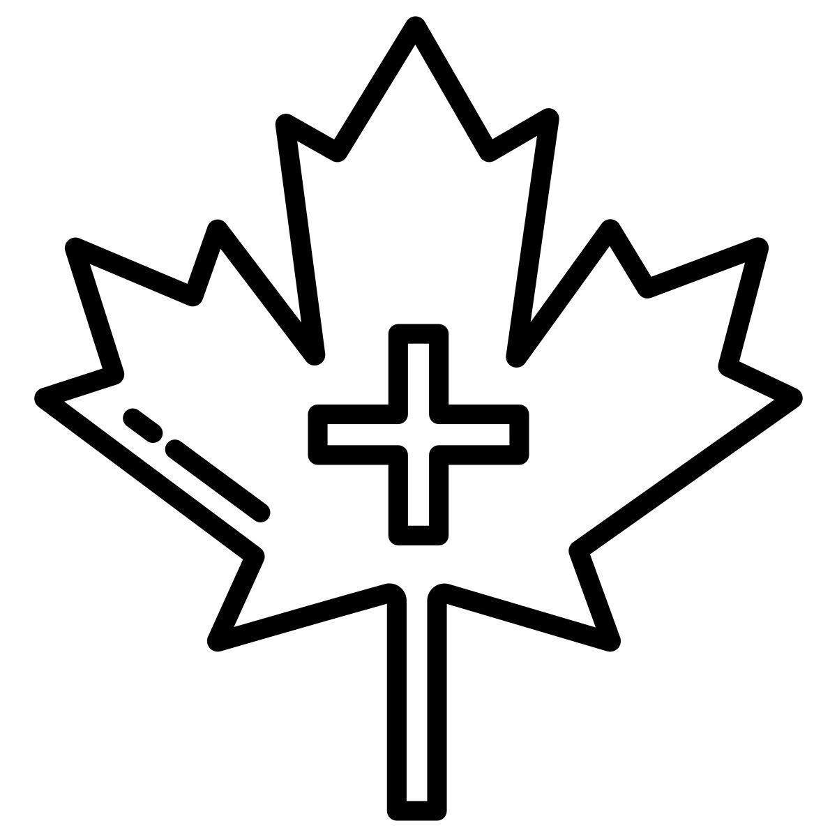 medical support icon