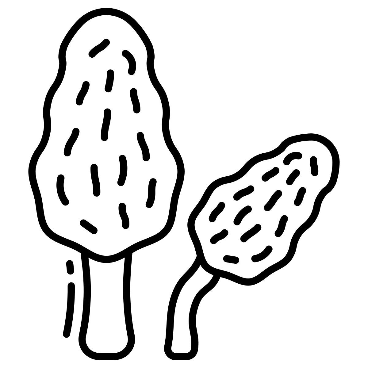 Funghi spugnole icon