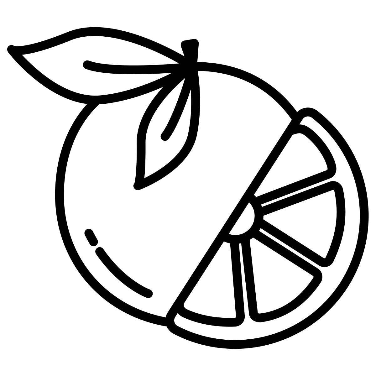 orange icon